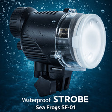 Водонепроникний стробоскоп Sea frogs SF-01 для підводного освітлення