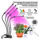 Світлодіодна фітолампа GrowLight 4 головки, 85 LED, Full Spectrum, таймер 4/8/12 год, пульт, регульований штатив