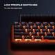 Fnatic STREAK65 LP Black | Компактна механічна клавіатура з RGB-підсвічуванням та перемикачами швидкості | Низькопрофільна кіберсп