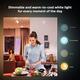 СТОК Розумна лампочка Philips Hue