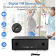 Стерео мікросистема Hi-Fi YOWELL 60Вт — Bluetooth 5.3, CD/DVD програвач, FM-радіо, USB/AUX, RCA для ТВ, домашня аудіосистема 2.0