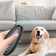 Уцінка Ультразвуковий відлякувач лаю Pets Intelligent Training Expert для собак усіх розмірів безпечний пристрій для дре