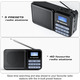 СТОК Портативне радіо Gallypek DAB+/FM з Bluetooth