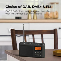СТОК Цифрове радіо i-box Spectrum DAB+/FM