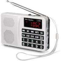 СТОК Портативне радіо PRUNUS L-258