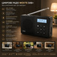 Портативний цифровий радіоприймач WOVTE DAB/DAB+/FM з Bluetooth акумуляторний кишеньковий міні приймач Чорний