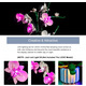 СТОК LED-підсвітка для набору Lego 10311 Orchid