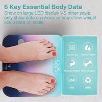 СТОК Цифрові розумні ваги Bluetooth та WIFI