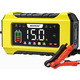 Зарядний пристрій NEXPEAK NC215 15A/8A для акумуляторів 12V/24V, LiFePO4, AGM, GEL, Smart 9-етапний, імпульсне відновлення